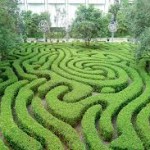 Walking the Labyrinth